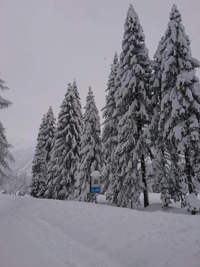 Chalet Mini Walser Formazza